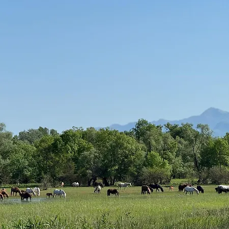 Skadar Paradise * Dodosi