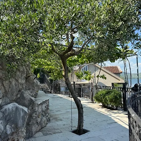 Guest house Skadar Paradise Dodosi